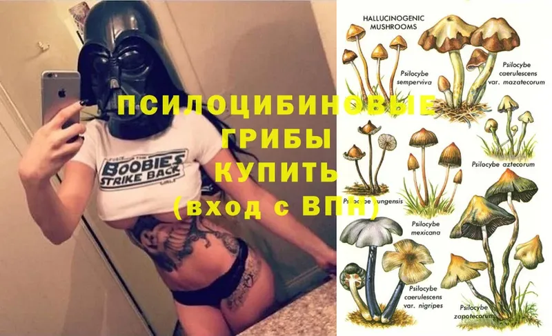 МЕГА маркетплейс  наркота  Карталы  Галлюциногенные грибы Magic Shrooms 